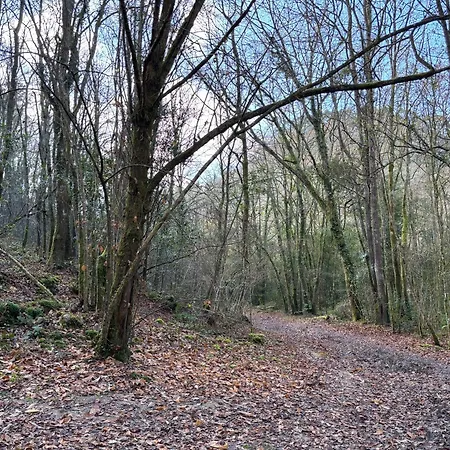 Vakantiehuis Casa Milu